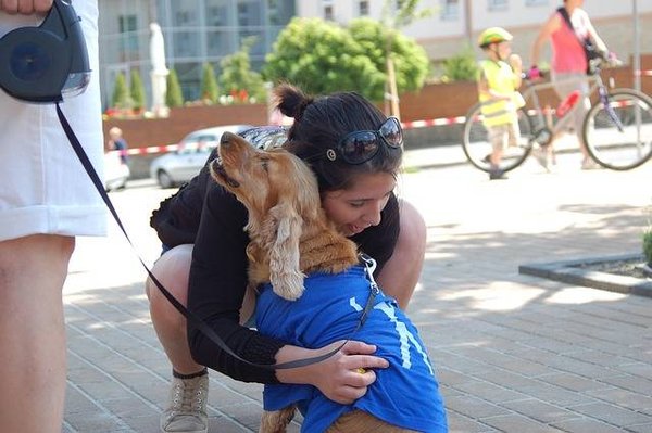 Quel statut pour les services aux animaux?